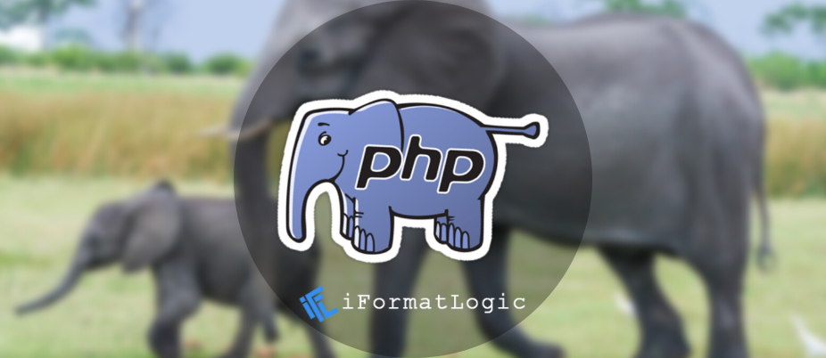 PHP Server-Side Programming Language and Runtime Engine Infrastructure